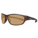Lunettes de soleil Unisexe Polaroid P7404-IEZ