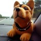 Chien Pendulaire