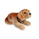 Chien Pendulaire
