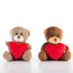 Petit Ours en Peluche avec Coeur