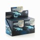 Puzzle 3D Fluorescent Squelette de Dinosaure Junior Knows