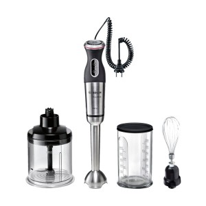 Mixeur plongeant BOSCH MSM-88160 MaxoMixx 800W