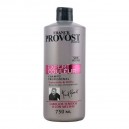 Shampooing revitalisant de couleur Expert Couleur Franck Provost