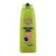 2-in-1 shampooing et après-shampooing Fructis