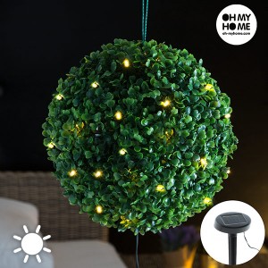 Lampe Solaire Arbuste Oh My Home (20 LED)