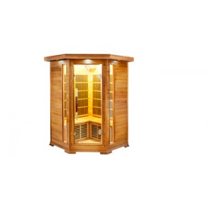 SAUNA LUXE 2/3 Personnes