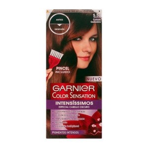 Teinture permanente Color Sensation Intensissimos Garnier Chatain cachemire