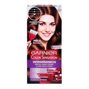 Teinture permanente Color Sensation Intensissimos Garnier Toffee