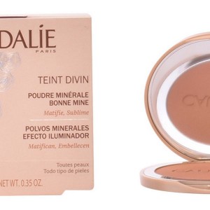 Poudres Compactes Teint Divin Caudalie (10 g)