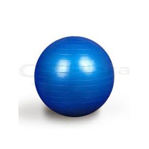 Ballons d'exercices - fitball 