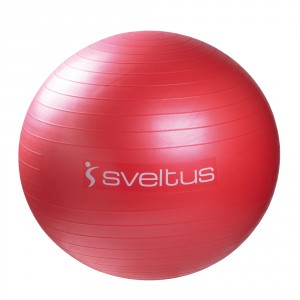 Gym Ball Rouge (diamètre 65 cm)