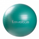 Gym Ball Vert (diamètre 65 cm)