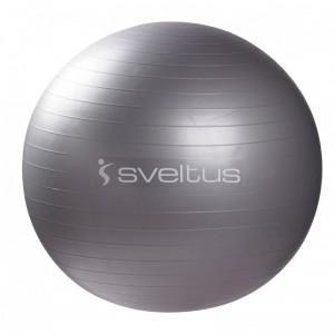 Gym Ball Gris (diamètre 65 cm)
