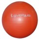 Gym Ball Orange (diamètre 55 cm)