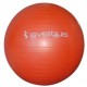 Gym Ball Orange (diamètre 55 cm)