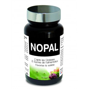 NOPAL- Capteur de Sucre et de graisse 