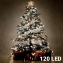 Lumières Blanches de Noël (120 LED)