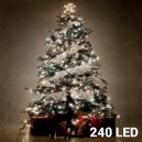 Lumières Blanches de Noël (240 LED)