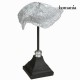Sculpture corail by Homania