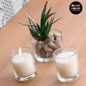 Bougies parfumées et Cactus Décoratif Homania (lot de 3)