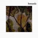 Cadre Acrylique Arbre (88 x 88 cm) by Homania