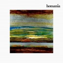 Cadre Acrylique Abstrait (52 x 52 cm) by Homania