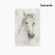 Cadre Cheval (60 x 90 cm) by Homania