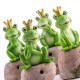 Grenouille Princely avec Son et Capteur de Mouvement Oh My Home