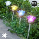 Lampe Solaire Flower Oh My Home