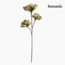 Fleur Mousse Violet Vert by Homania