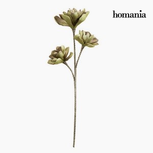 Fleur Mousse Violet Vert by Homania
