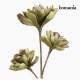 Fleur Mousse Violet Vert by Homania
