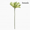 Fleur Mousse Vert by Homania