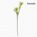 Fleur Mousse Vert by Homania