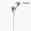 Fleur Mousse Pourpre by Homania