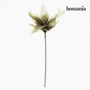 Fleur Mousse Vert by Homania
