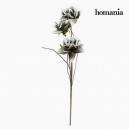 Fleur Mousse Gris by Homania