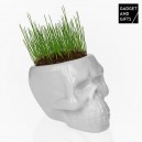 Pot d'Herbe Crâne Gadget and Gifts