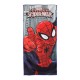 Sac à dos pour Piscine Spiderman (4 pièces)